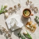 나무와흙한의원 | 봄만 되면 재채기·콧물·가려움… 고초열(계절성 알레르기 비염), 근본부터 다스리는 한의학 해법