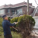 경산아지매 이미지