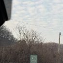 스테이온빈 이미지