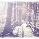 7게임장 이미지