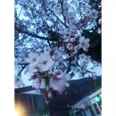 정곡식당