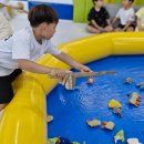 광양예절태권도장 이미지