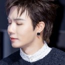 코쿤캅 이미지