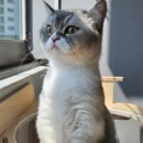 수원-0344 이미지