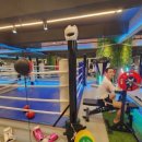 위너 복싱 이미지