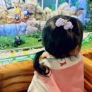 불안이 많은 아이 , 어떻게 도와 줄까? | 교육학전공자가 33개월동안 육아하며 잘했다고 생각하는것. 육아팁