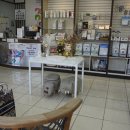 보현동물병원 이미지