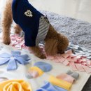 아띠지기 이미지