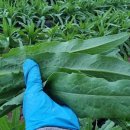 순애농장 이미지