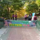 홍도당구장 네이버블로그