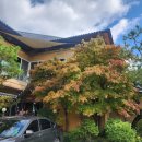 맷돌포두부 | 청주부모님식사 성화동맛집 맷돌포두부 두부요리전문점