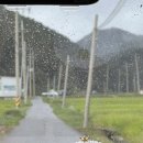 구룡농장 이미지