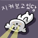 모자농원캠핑장 이미지