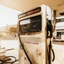 꽃피는화덕피자D485 이미지