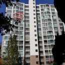 포항시남구62 이미지