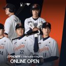 스파이더