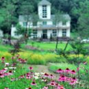 아도농장 이미지