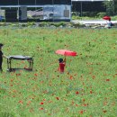 경오농장 이미지