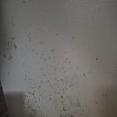 씨유 칠곡석적원룸점 | 칠곡 석적 원룸 입주청소어디까지 해줄까 실제청소후기