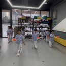 이화 태권도장 이미지