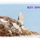 횡경도 Daum카페