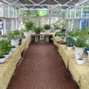 부천상록학교 이미지