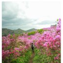 마애여래 공중화장실 이미지