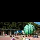 영제시조 이미지