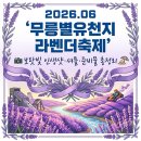 삼화여행사 | [2026 무릉별유천지 라벤더축제] 일정, 주차, 셔틀버스, 입장료 및 꿀팁 완벽 정리!