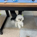 다온가죽공방 이미지