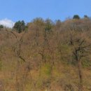 다암산업 이미지