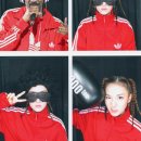 핫 독[Hot Dog] 이미지