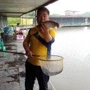 함박골낚시터 이미지