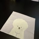 세계일주-고두비 이미지