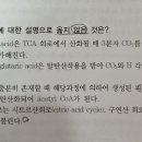 무기양분, tca회로 이미지