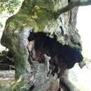 일탈을꿈꾸며 이미지