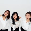 조선시대, 코끼리 살인사건 네이버블로그