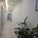 대구한의원 | 대구 편평사마귀무제한제거 한의원성지 찐 후기