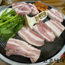 여우집