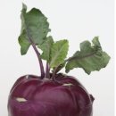 쌍둥이청과 이미지