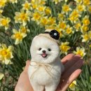 마음사진공방 이미지