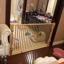 세이프독하우스 이미지