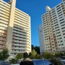 일신아파트 버스정류장 옆 이미지