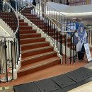 🚢 에이치해운 썬플라워크루즈 후기｜울진 후포항에서 울릉도 가는 배, 우등석 탑승 리얼후기