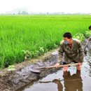 송평농장 이미지