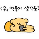피자코코 이미지