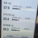 <b>비피</b>지<b>컴퍼니</b> 몬스터번 다이어트보조제,체지방줄이는법,천연식욕억제제,헬스보조제 2킬로빠짐 다이어트성공