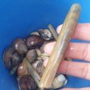 몽산포 휴림 이미지