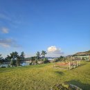 쏠레비치온수풀수영장 | 여수펜션 쏠레비치 온수풀수영장 가족여행 후기 오션뷰와 돔형풀장이 완벽했던 하루