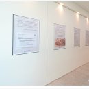 새솔한방병원 이미지